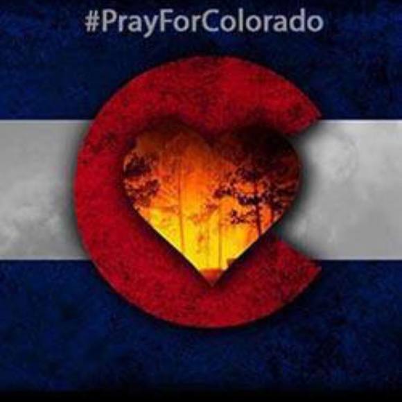 Meet your Posher, Amanda - Picture 1 of 1